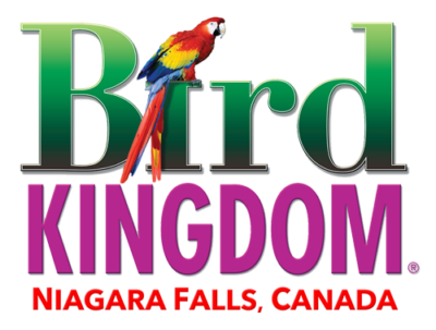 bird-kingdom